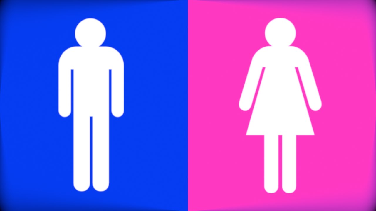 The left half of the picture is blue with a white cutout of the 'male' bathroom symbol. The other side of the image is pink, with a white cutout of the 'female' bathroom symbol.