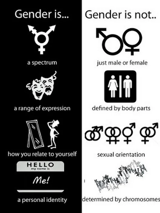 The left half of the picture explains what gender IS: 'A spectrum, a range of expression, how you relate to yourself, [and] a personal identity.' On the right side, what gender IS NOT is described: 'just male or female, defined by body parts, [related to] sexual [nor romantic] orientation, [nor] determined by chromosomes'