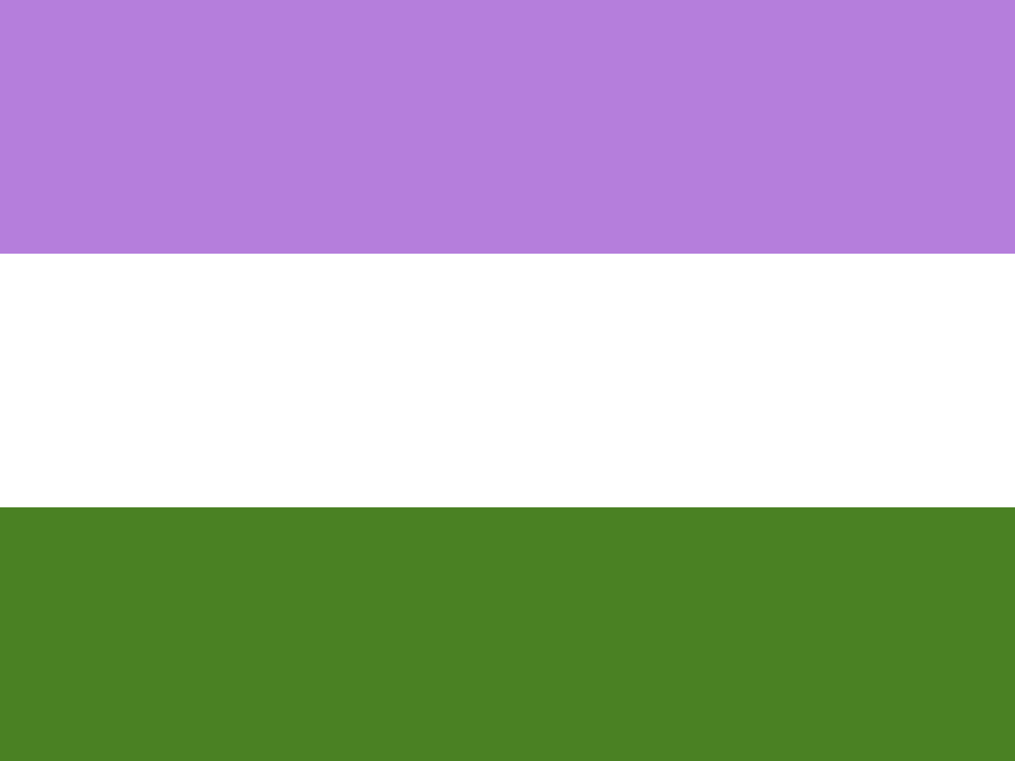 The genderqueer flag, which includes purple, white, and green.