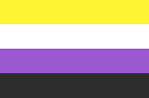 The nonbinary flag, which includes the colors yellow, white, purple, and black.