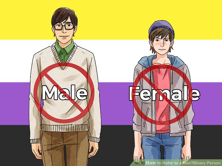 Two people are shown in front of the nonbinary flag, with the words 'male' and 'female' crossed out in front of them.