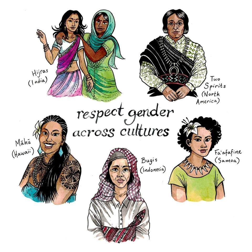 Six different cartoon people are shown, with all but 2 (the two Hijras) representing a different culturally-specific gender identity (all 5 previously covered on the 'Examples' page). The words 'Respect Genders Across Cultures' is written in the center.